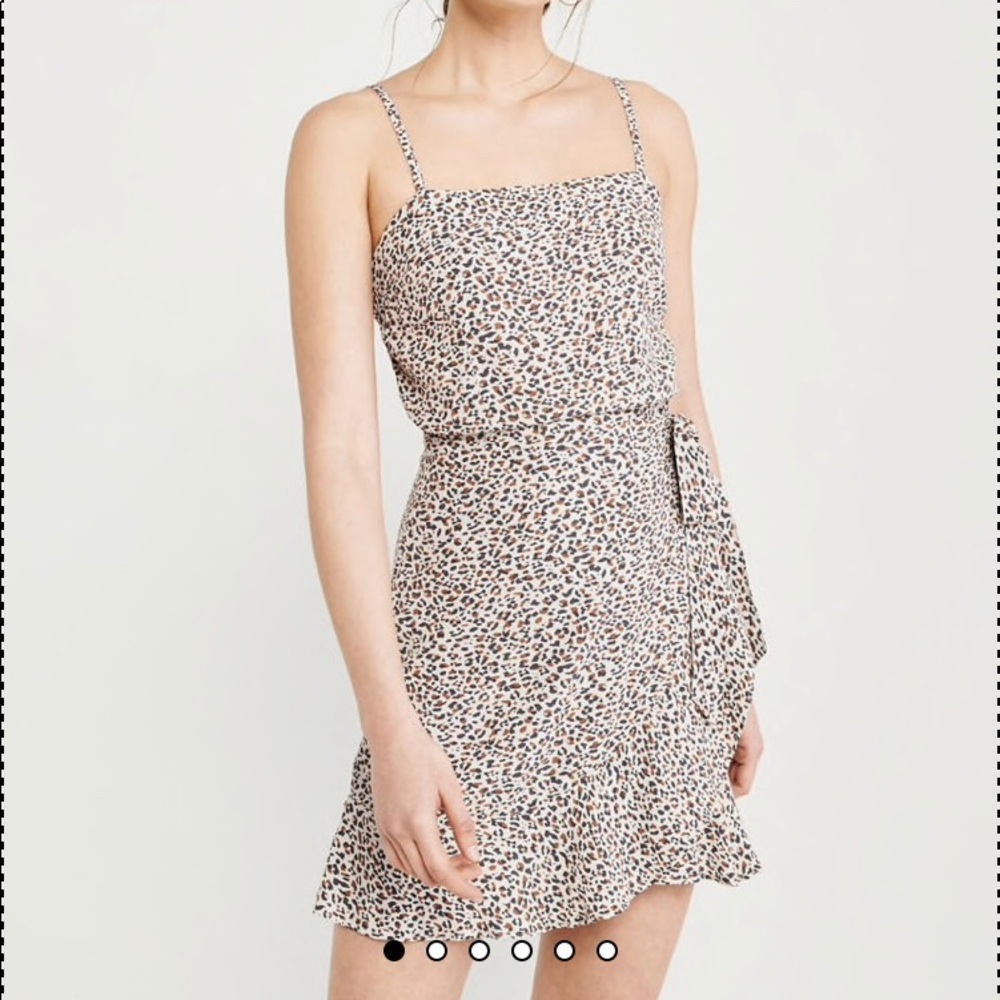 Abercrombie Wrap Tie Leopard Dress